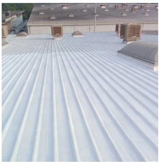 Metal Roof Treatment
